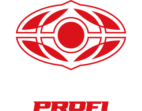 Киокушин Профи