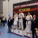 Кубок Санкт-Петербурга по каратэ киокусинкай и турнир "Надежды Санкт-Петербурга"