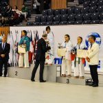 Первенство Мира по Киокусинкай каратэ KWU