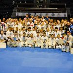 Первенство Мира по Киокусинкай каратэ KWU