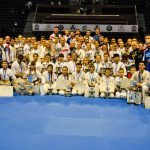 Первенство Мира по Киокусинкай каратэ KWU