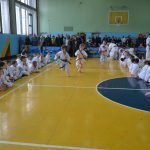 Киокусинкай тест «Юный самурай - 2018»