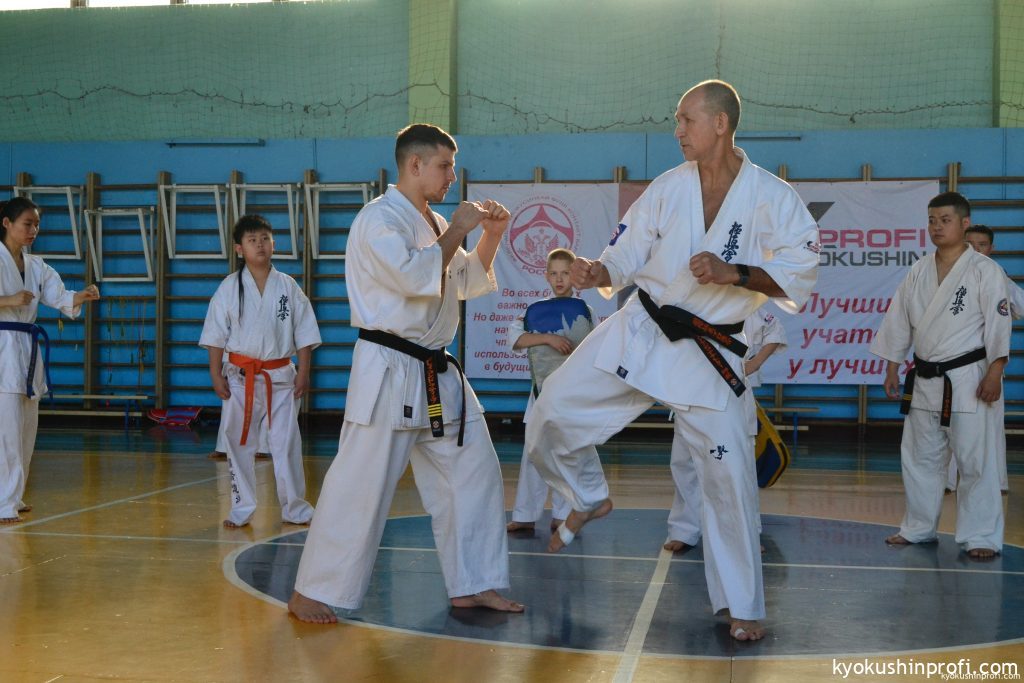 Амурские Киокушиновцы делятся опытом с Китайскими коллегами практикующих карате