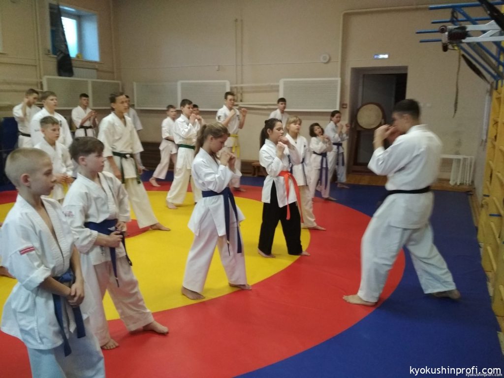 УТС – 2020 Амурских Киокушиновцев