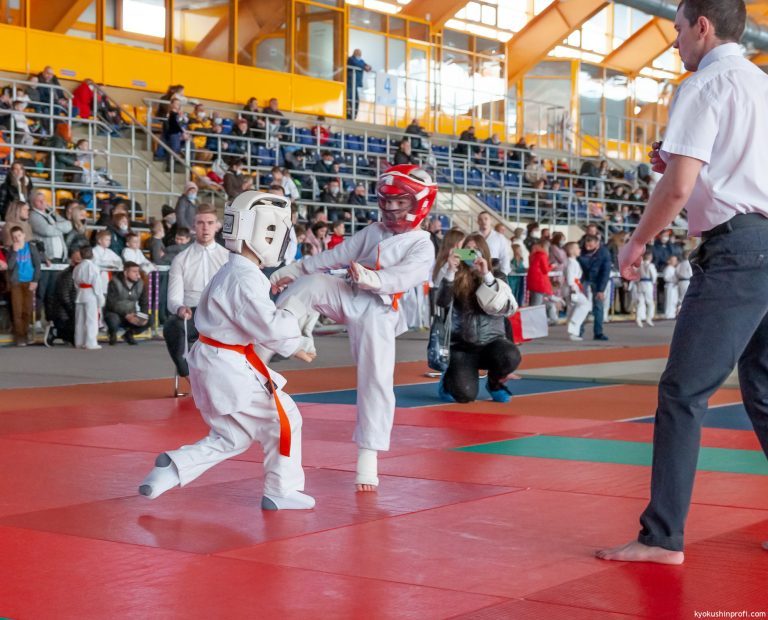VIII Международный турнир по киокушинкай каратэ-до «Kyokushin Profi Belаrus Open» фото