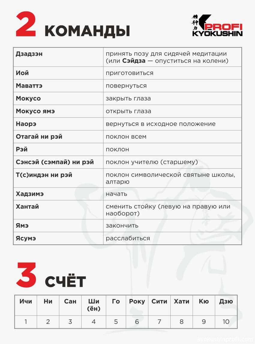 Словарь-классификатор терминов каратэ – Международный союз «Киокушин Профи»