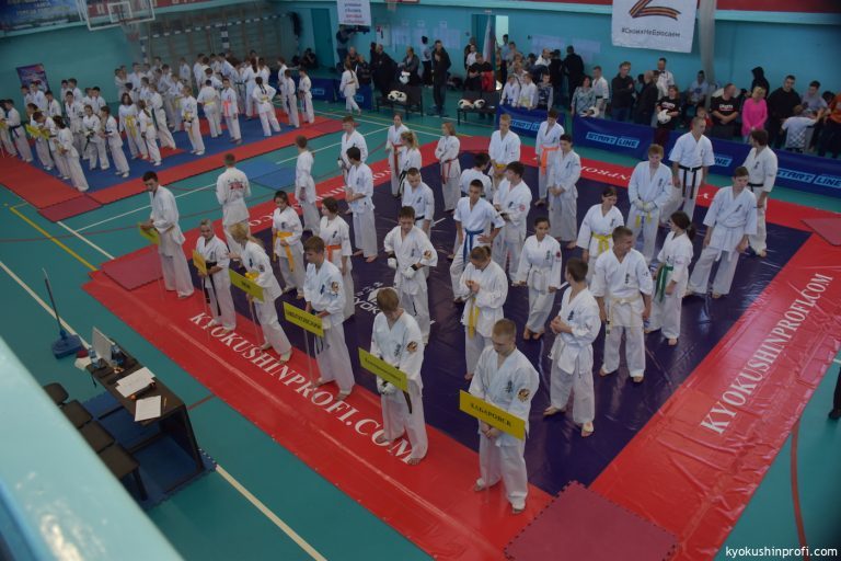 ЧЕМПИОНАТ И ПЕРВЕНСТВО АМУРСКОЙ ОБЛАСТИ ПО КИОКУШИН ПО КУМИТЭ И КАТА фото