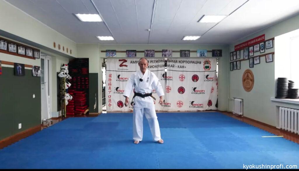 Программа дан теста по каратэ 2023